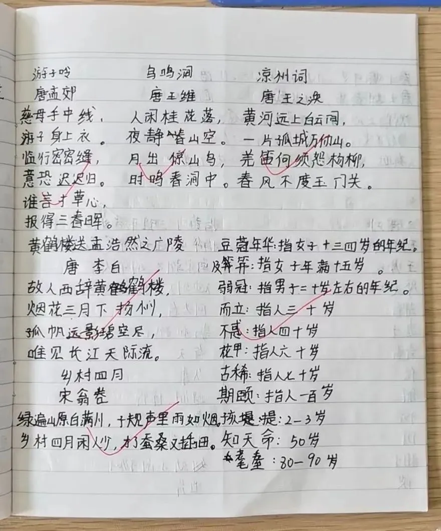 篮球新手基础训练方法_2