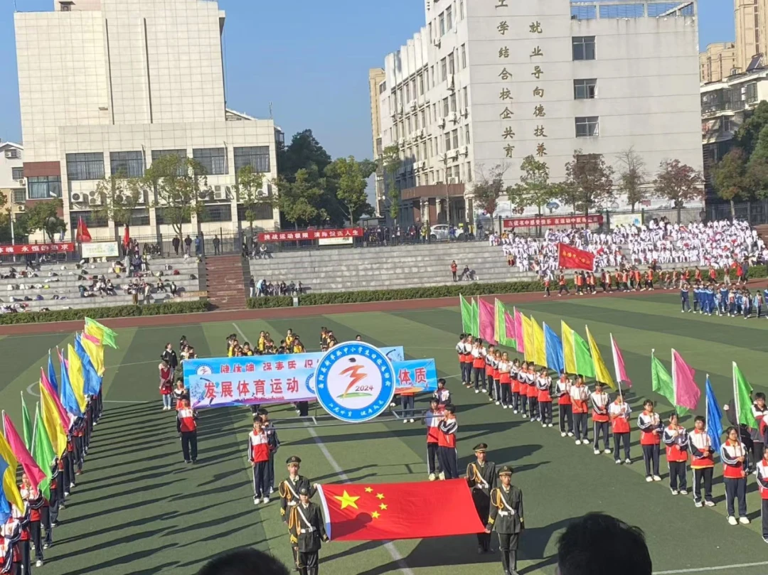 如何通过反馈分析提升篮球战术意识_2